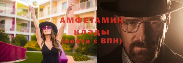 твердый Алексин